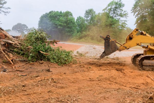 Ground Clearing in Great Falls