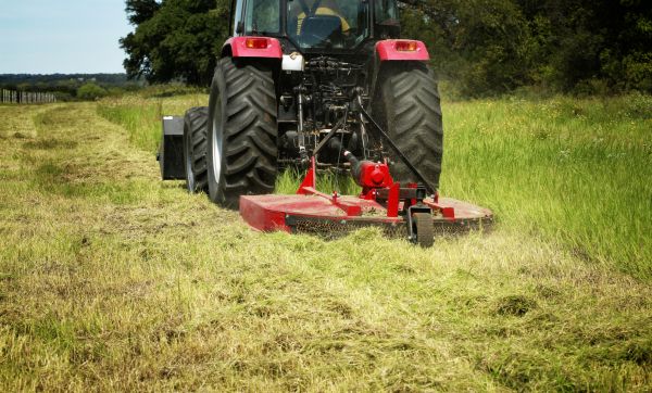 Brush Clearing Service in Great Falls