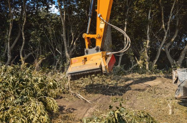 Brush Removal Service in Great Falls