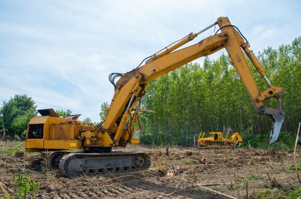 Farm Clearing in Great Falls