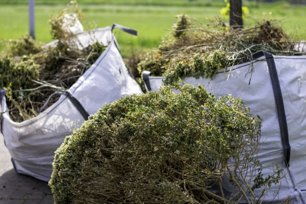 Cost of Bushes Clearing in Great Falls