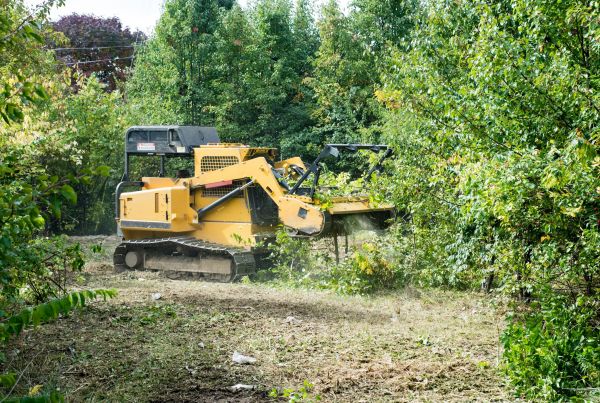 Pathway Clearing in Great Falls