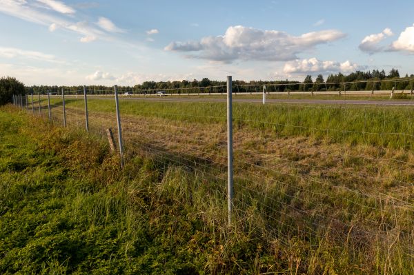 Property Line Clearing in Great Falls