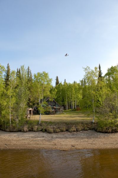 Waterfront Land Clearing in Great Falls
