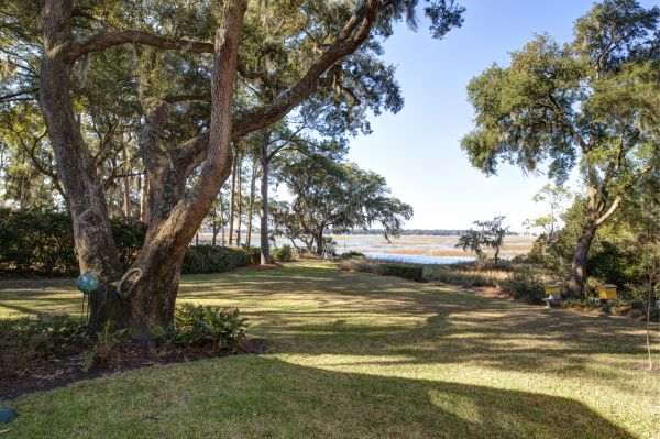 Lakefront Property Clearing in Great Falls